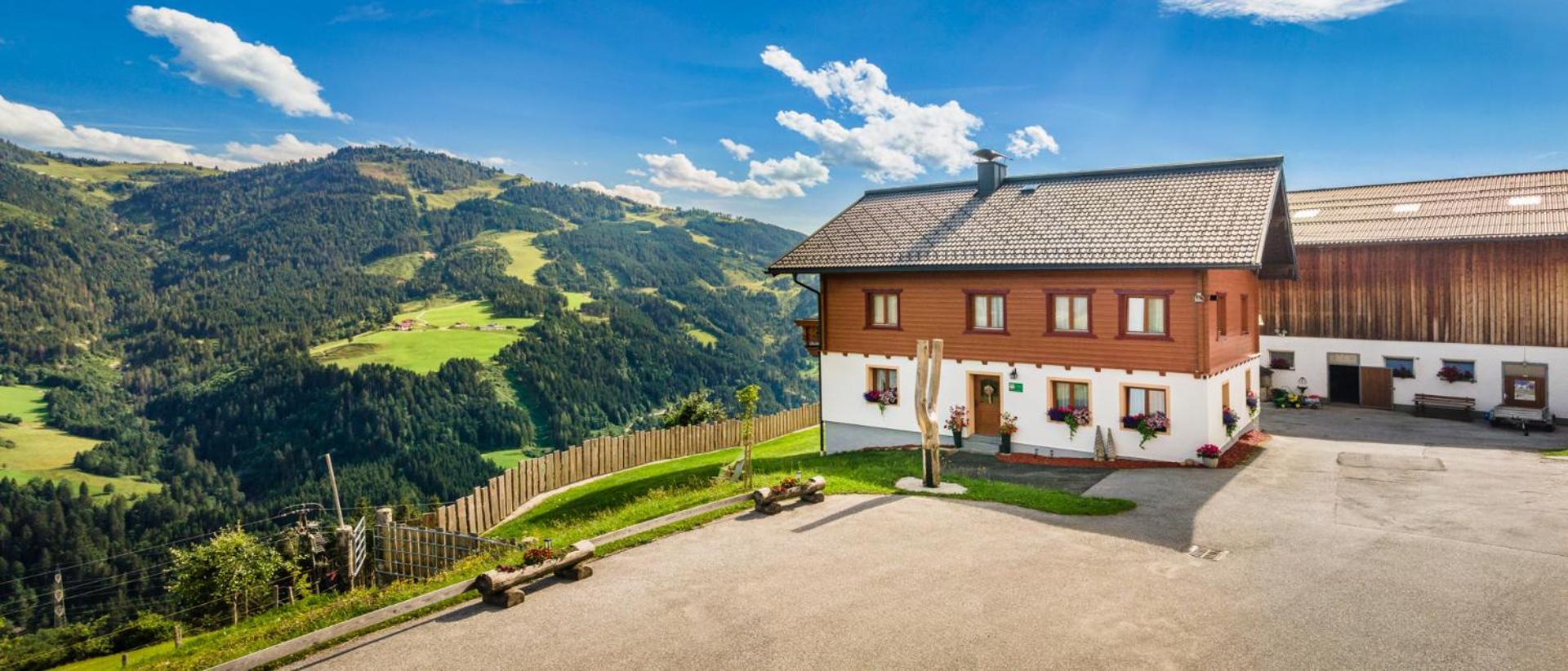 Bauernhaus Bichl Санкт-Йоганн-ім-Понгау Екстер'єр фото
